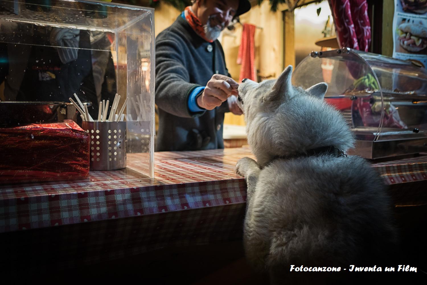 Fotocanzone, L'amico è, Roberto Serra