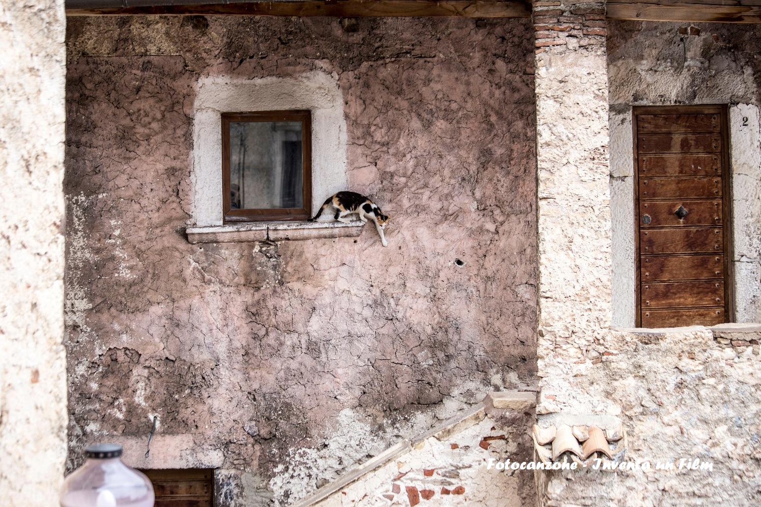 Pazza idea, fotocanzone, Andrea Fiordigiglio
