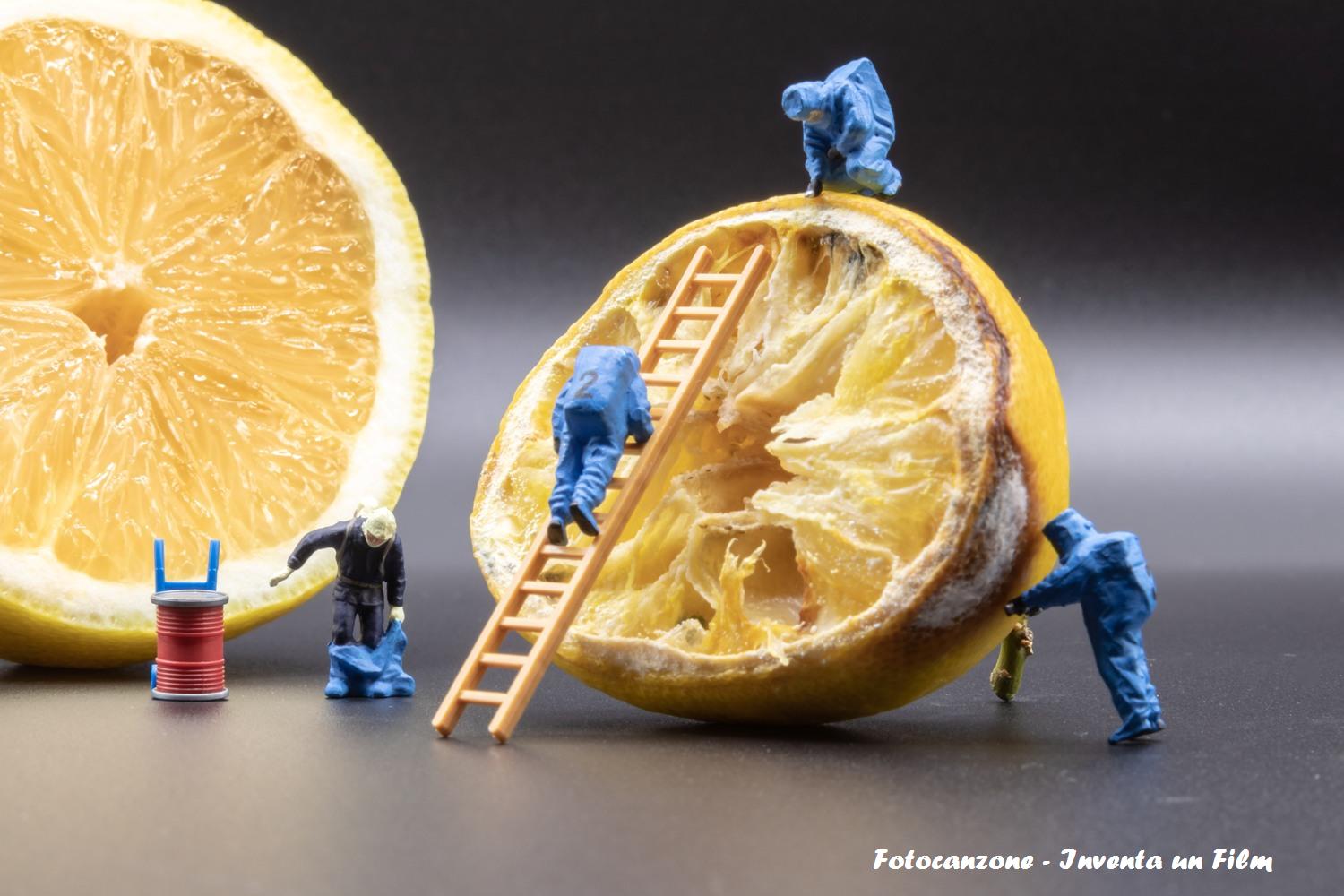 Fotocanzone, Pazza idea, Francesco Olivieri
