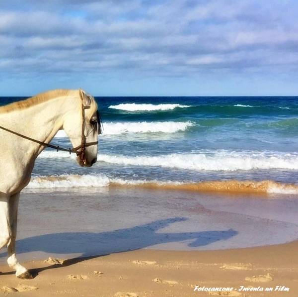 Fotocanzone 2020, Fotocanzone Inventa un Film, Spiagge, Marina Magro, Fotocanzone Lenola