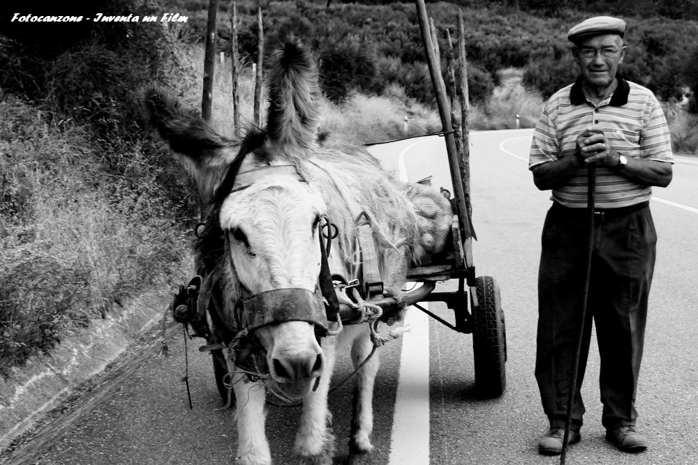 Fotocanzone 2021, Fotocanzone Inventa un Film, Fotocanzone Lenola, Viaggio di un poeta, Elisa Crestani