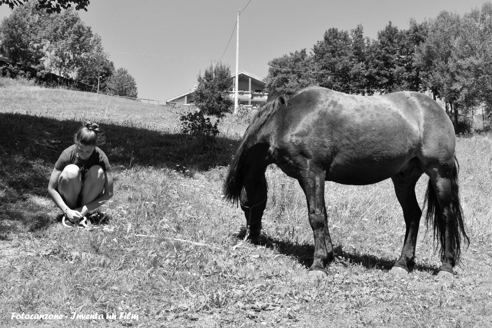 Fotocanzone 2023, Inventa un Film, Lenola, Impressioni di settembre, Un cavallo tende il collo verso il prato resta fermo come me, Katia Carraro