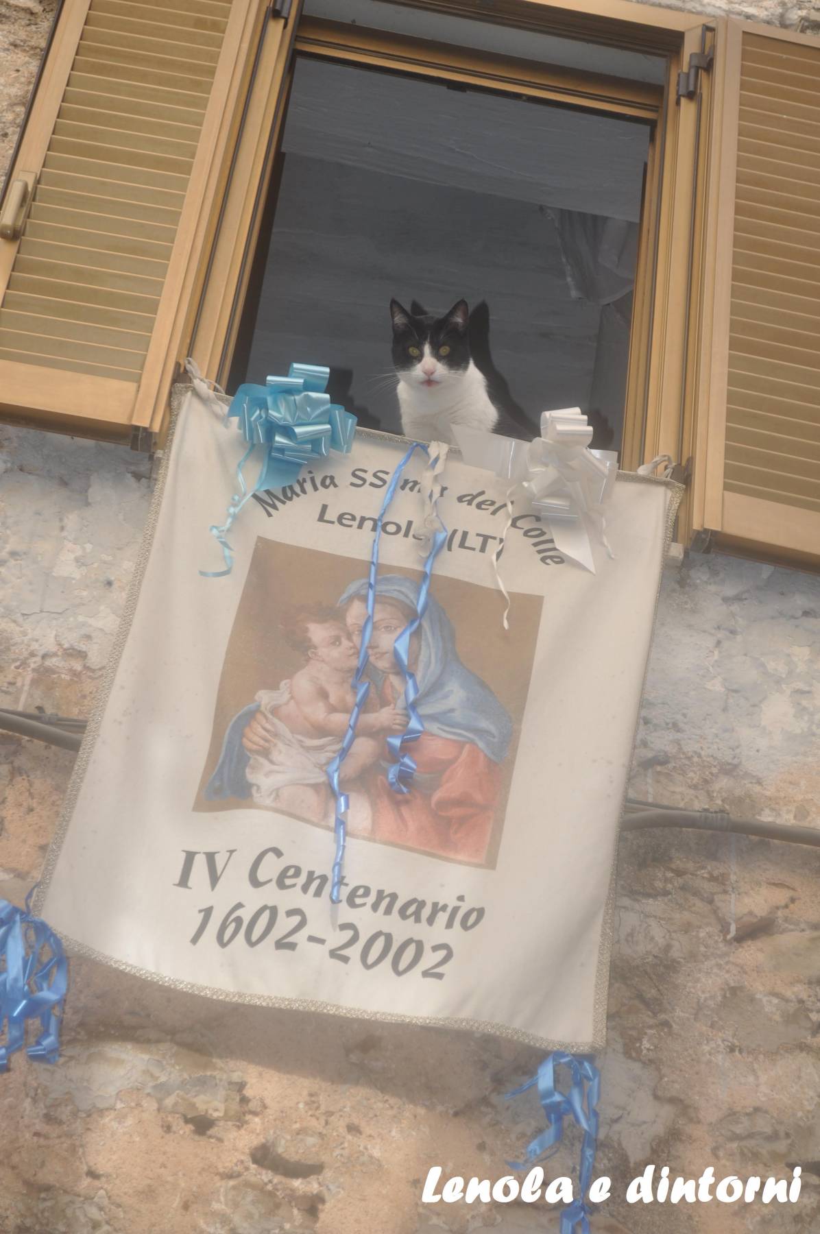 gatto, madonna del colle, lenola e dintorni, processione dei bambini