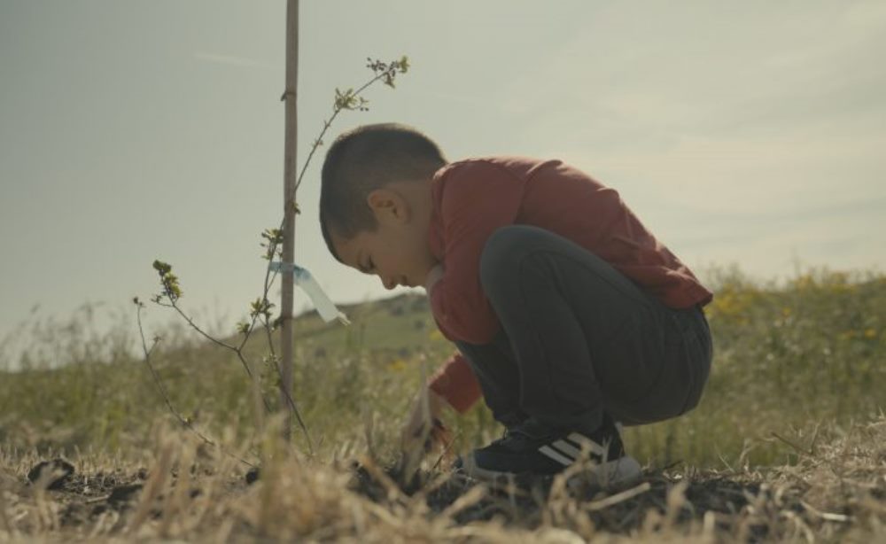 Una nuova voce, Peter Marcias, Inventa un Film, Lenola, festival lenola, cortometraggi ambiente, cortometraggi ambientali, cortometraggi a tema ambiente 