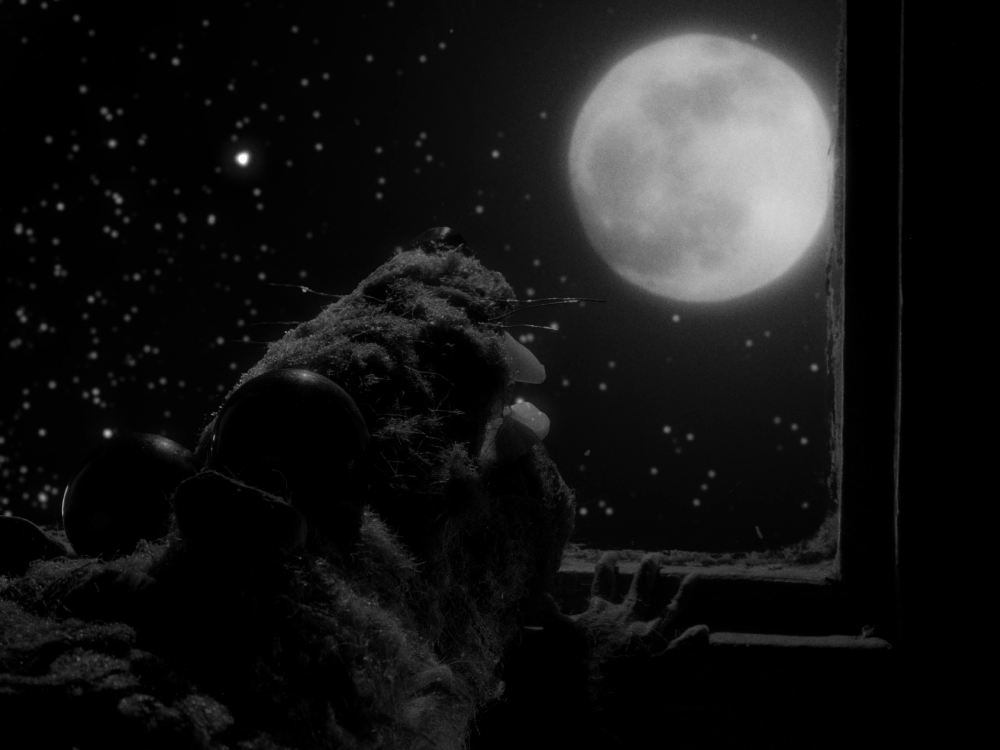 When you wish a upon a star, Domenico Modafferi, Animation, Animation section, Lenolafilmfestival, Inventa un Film, Lenola film festival 2023