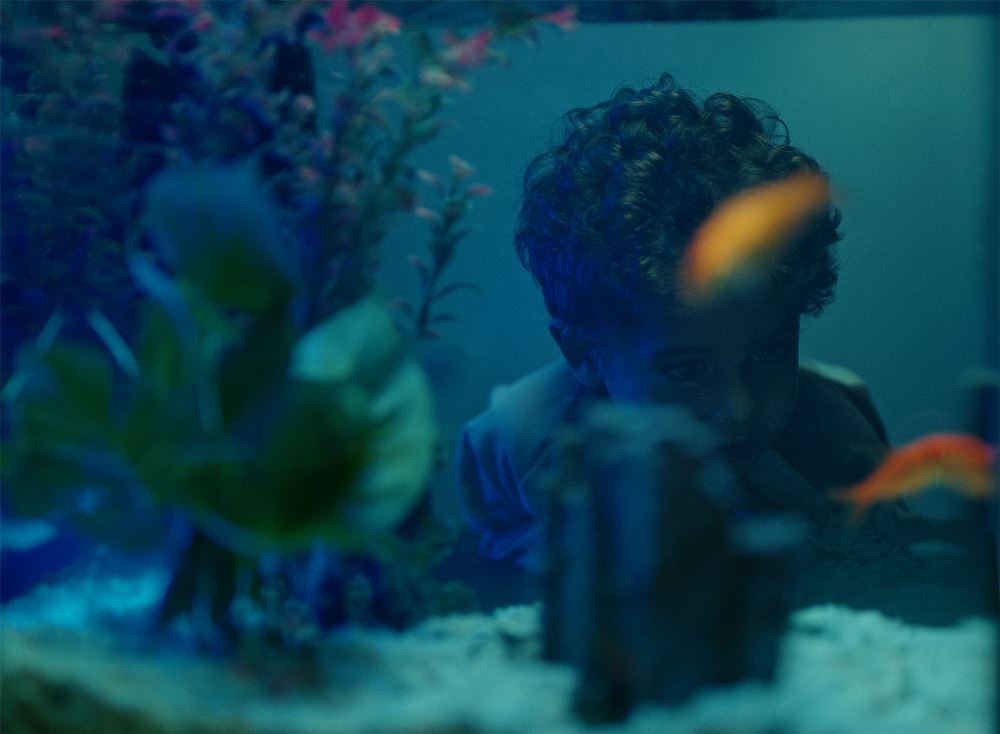 Adamo, una storia vera dal futuro, Beppe Tufarulo, Inventa un Film, Lenola, festival lenola, cortometraggio, cortometraggi, cortometraggi più belli, cortometraggi migliori, corto, corti