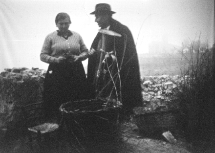cestaio, lenola